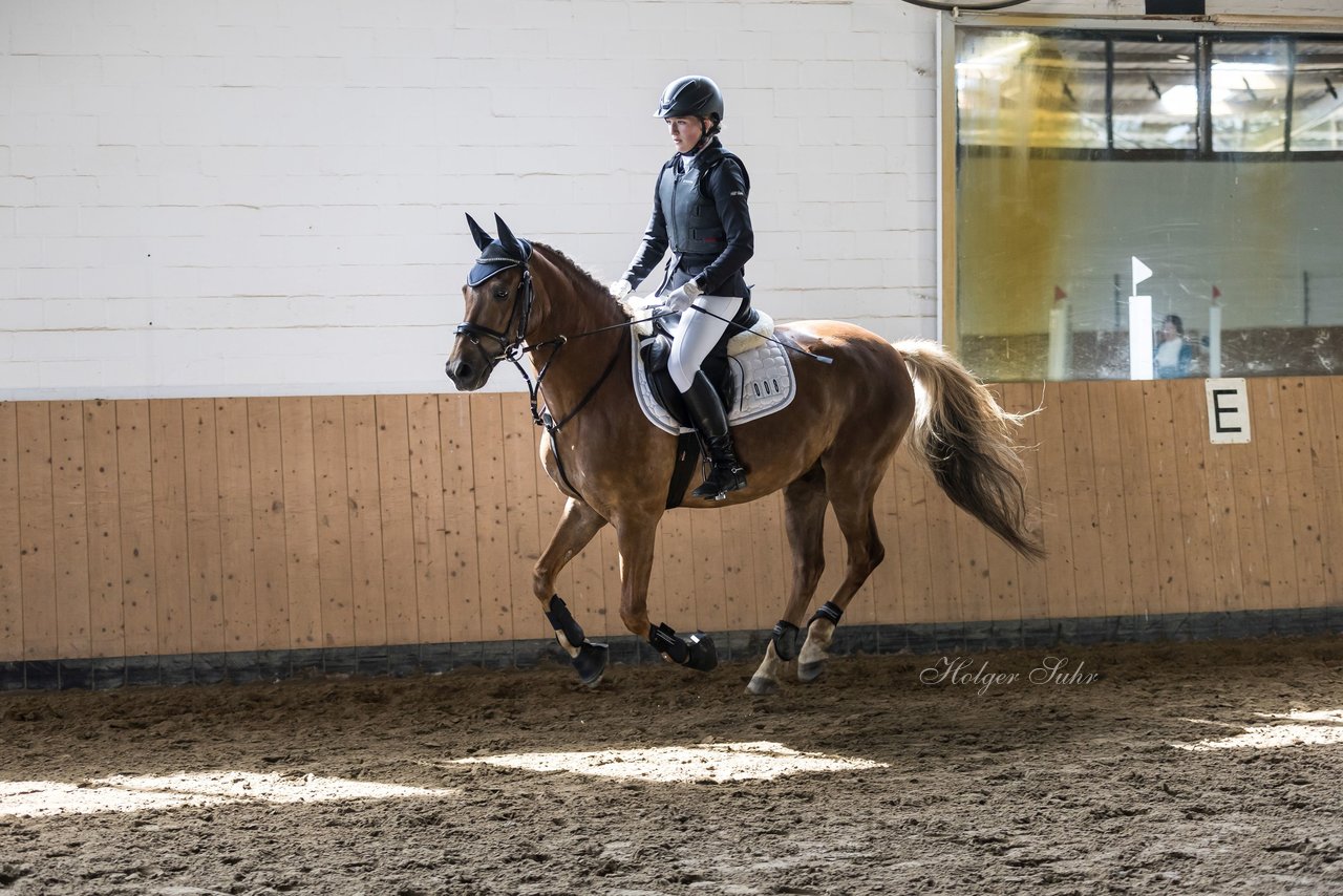 Bild 3 - Pony Akademie Turnier